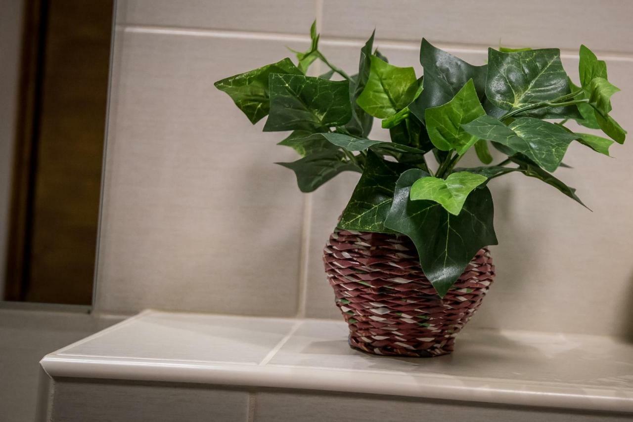 Mokka Apartman 塞格德 外观 照片